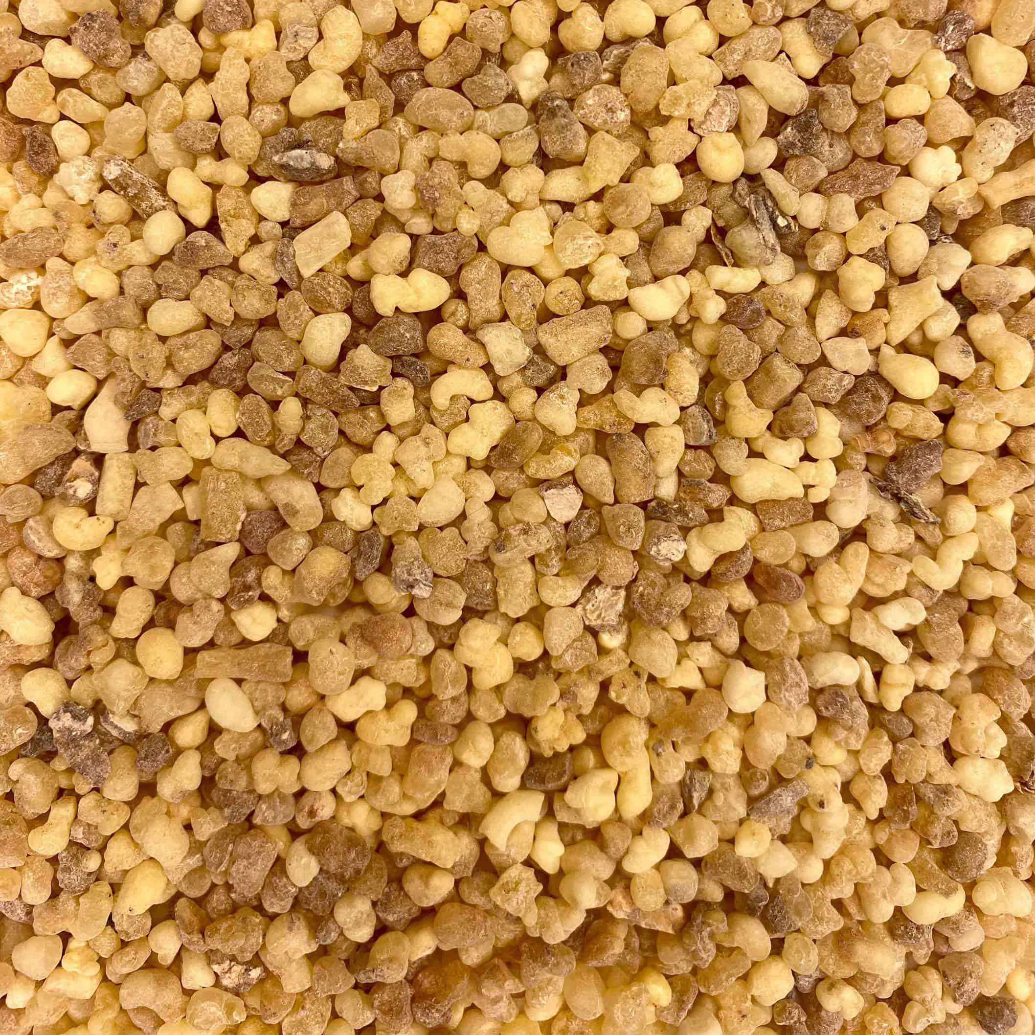 Un prim-plan al multor granule mici, neregulate, de culoare galben-brun Tămâie Olibanum Eritrea (Boswellia), strâns strânse împreună.